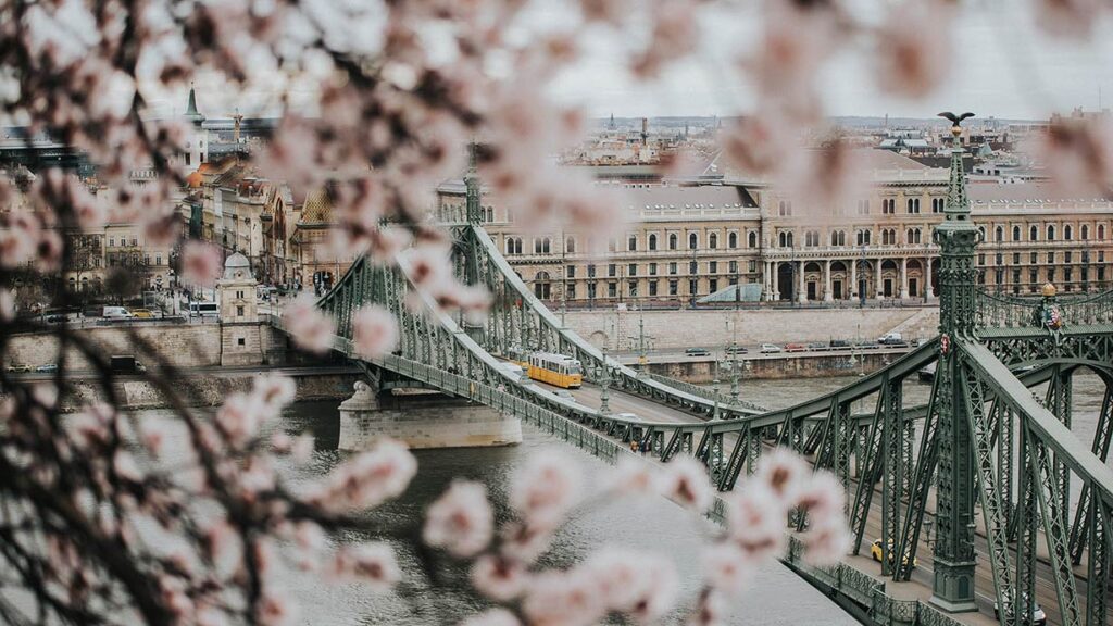 Budapesti Corvinus Egyetem