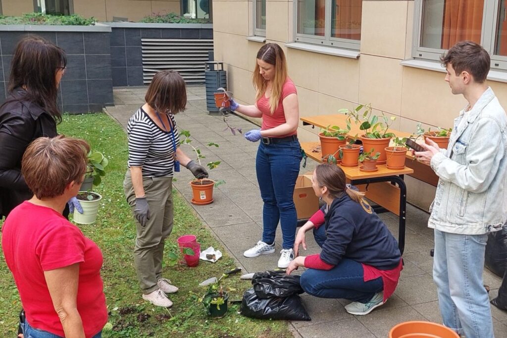 Budapesti Corvinus Egyetem