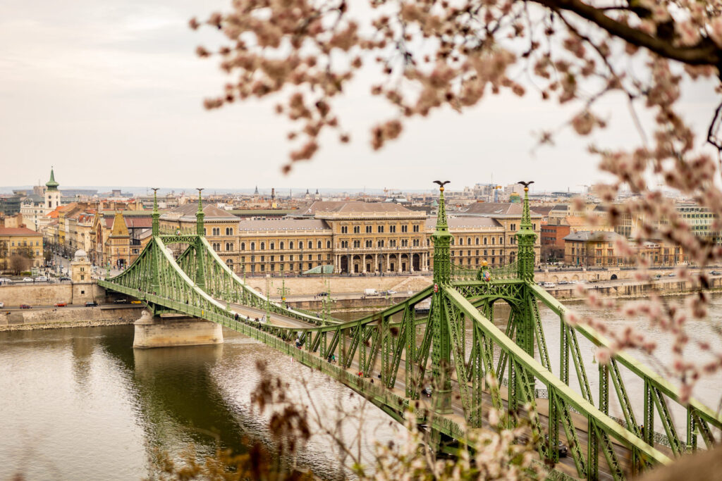 Budapesti Corvinus Egyetem